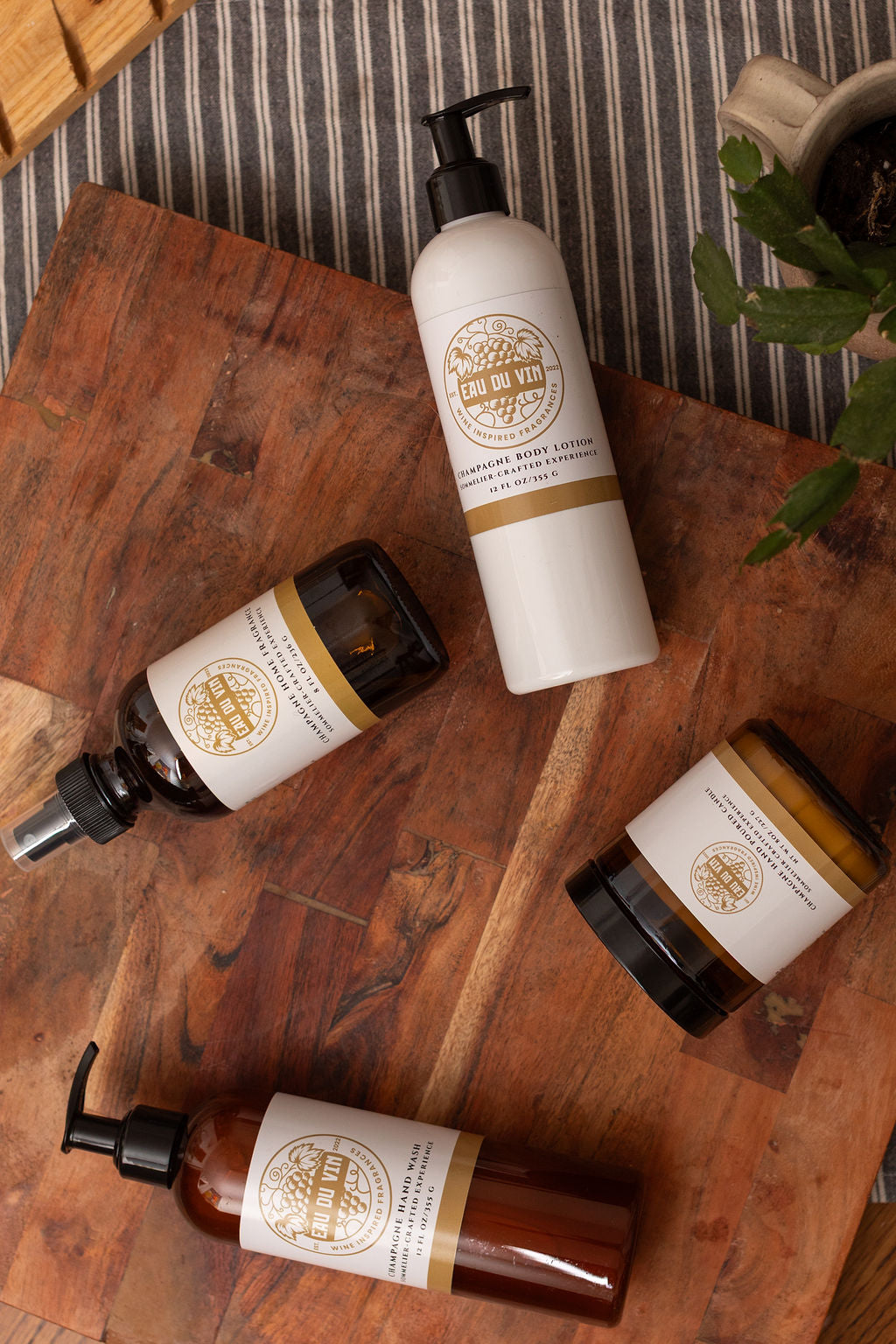 Champagne Body Lotion